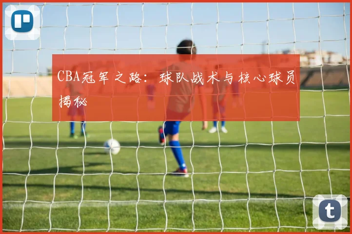 CBA冠军之路：球队战术与核心球员揭秘